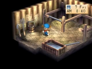 Harvest Moon BTN PS1 - spokojny wieczor